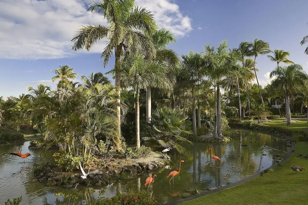 The Level At Melia Caribe Beach (Adults Only) Punta Cana