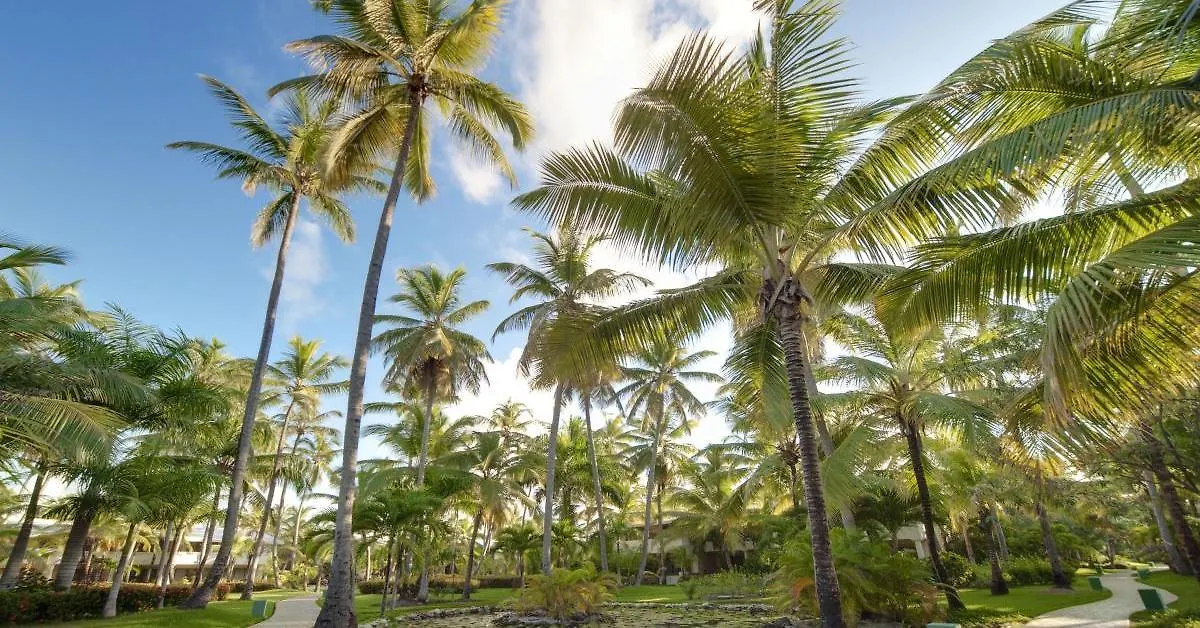 Resort The Level At Melia Caribe Beach (Adults Only) Punta Cana